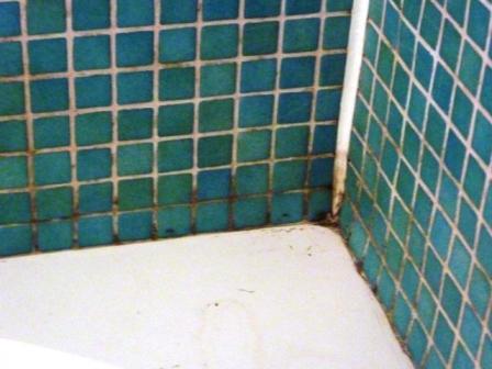 Bathroom Tile and Grout before being cleaned by Edinburgh Tile Doctor