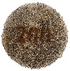 Flexi Segment  6 Inch  200 grit Diamond Floor Pad