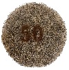 Flexi Segment  6 Inch   50 grit Diamond Floor Pad